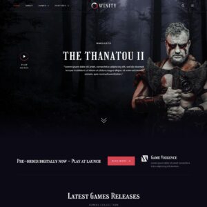 Winity – Издатель игр и киберспорт #МиР3