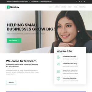 Techcom - Инвестиционный консалтинг #ФиП20