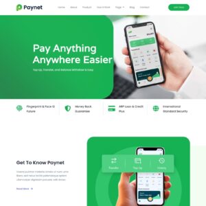 Paynet - Цифровой электронный кошелек #ТиП1